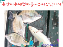 2022년 4월 21일 동삼어촌계 유어장 낚시터 조황입니다.